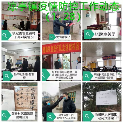 涼亭鎮疫情防控 一張拼圖，一方平安——記涼亭鎮疫情防控工作動態網頁設計
