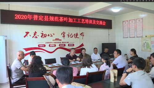 全縣規范茶葉加工工藝培訓及交流會順利召開