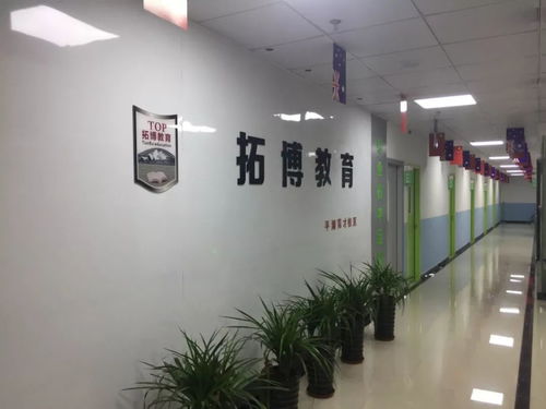 平湖市校外培訓機構白名單公布 聚焦藝術類營利性民辦機構，為家長選擇保駕護航