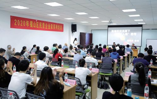 蜀山破局新生 七項經濟指標領跑合肥城區，藝術培訓產業成新增長極