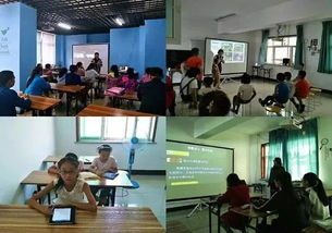 昌吉市規范藝術培訓市場，8家合格營利性民辦培訓機構名單公布